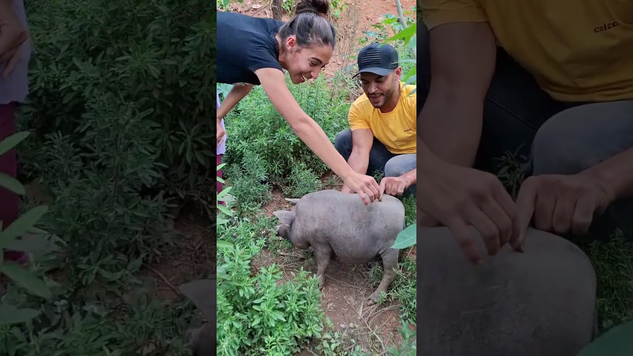Bicho esquisito, bic&oacute; #shorts #viral