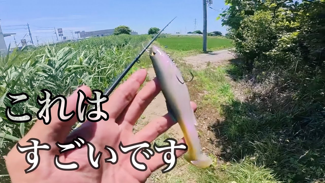 めっちゃ簡単に誰でも釣れます！！！見えバス一撃