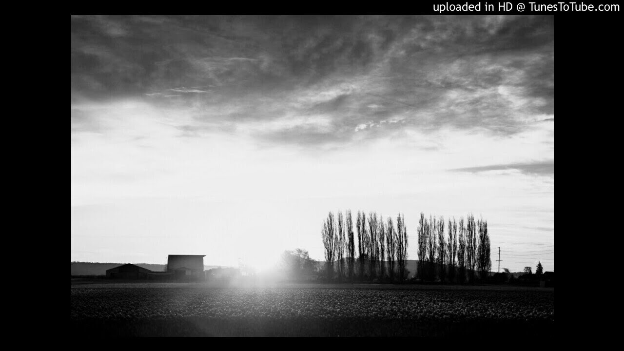 NSUS  - Daylight