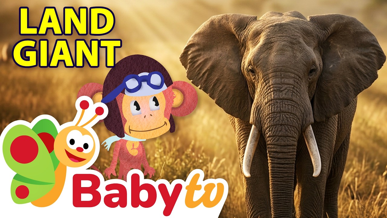 Giraffe 🦒 | Animal Videos For Kids | Wild Animals | Full Episode @BabyTV