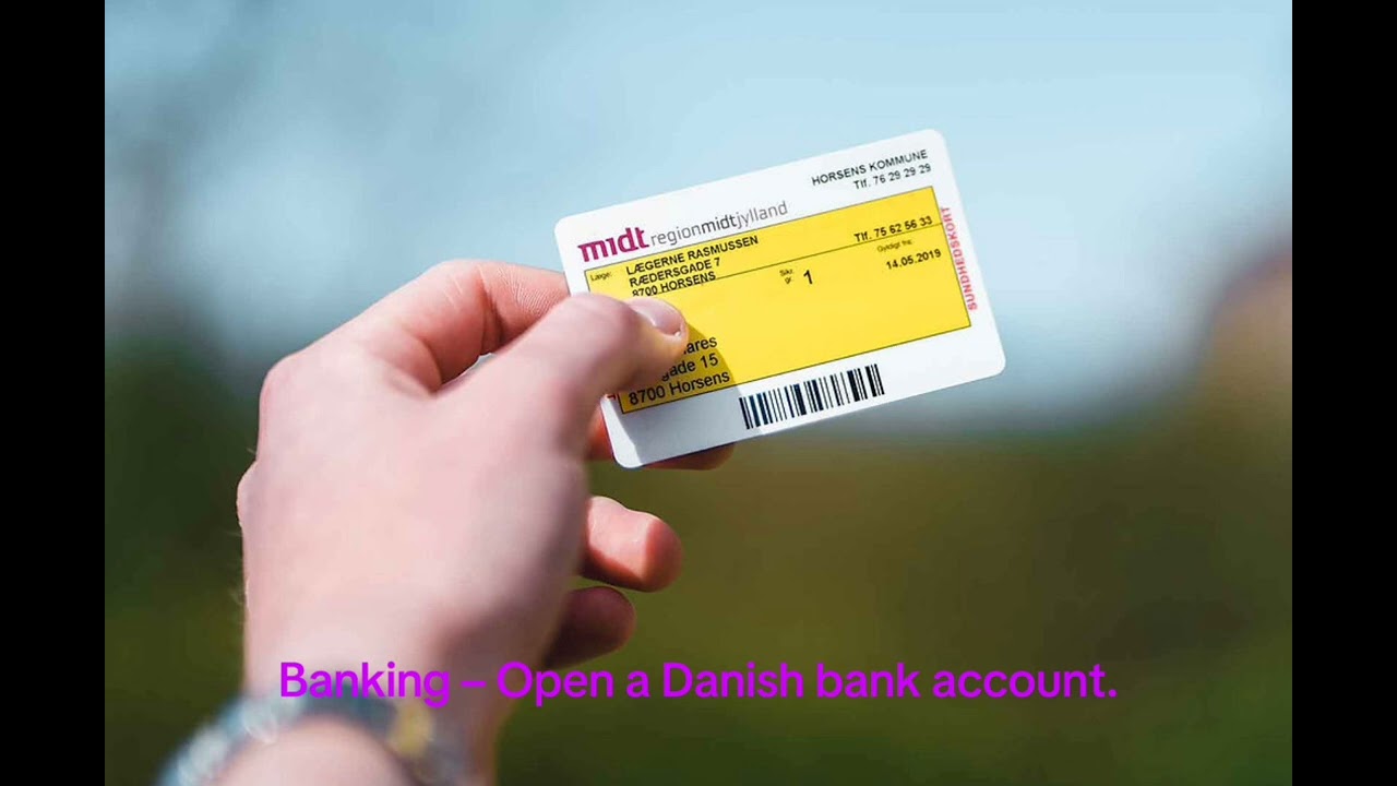 Danish Cpr number  ( central person register )