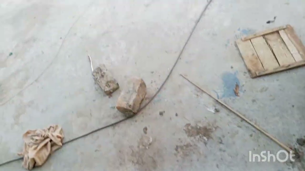 Aaj se humne kabutaron ka shauk khatm Kar Diya 😭😭😭