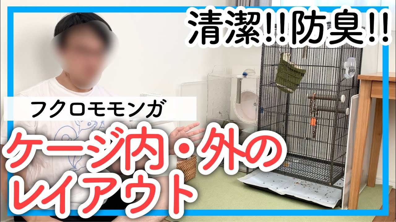 【フクロモモンガ】ケージ内外のレイアウト｜臭い対策・汚れ対策の参考に