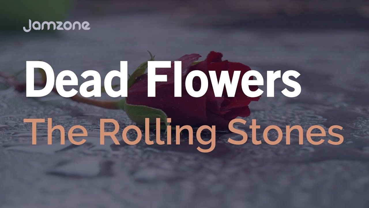 Rock Backing Track in D | 129 BPM | Dead Flowers - The Rolling Stones
