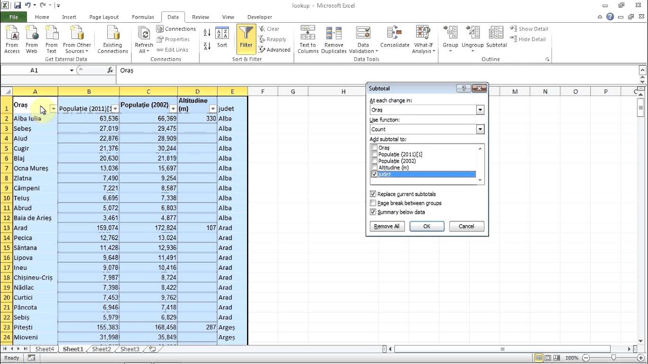 subtotaluri in excel