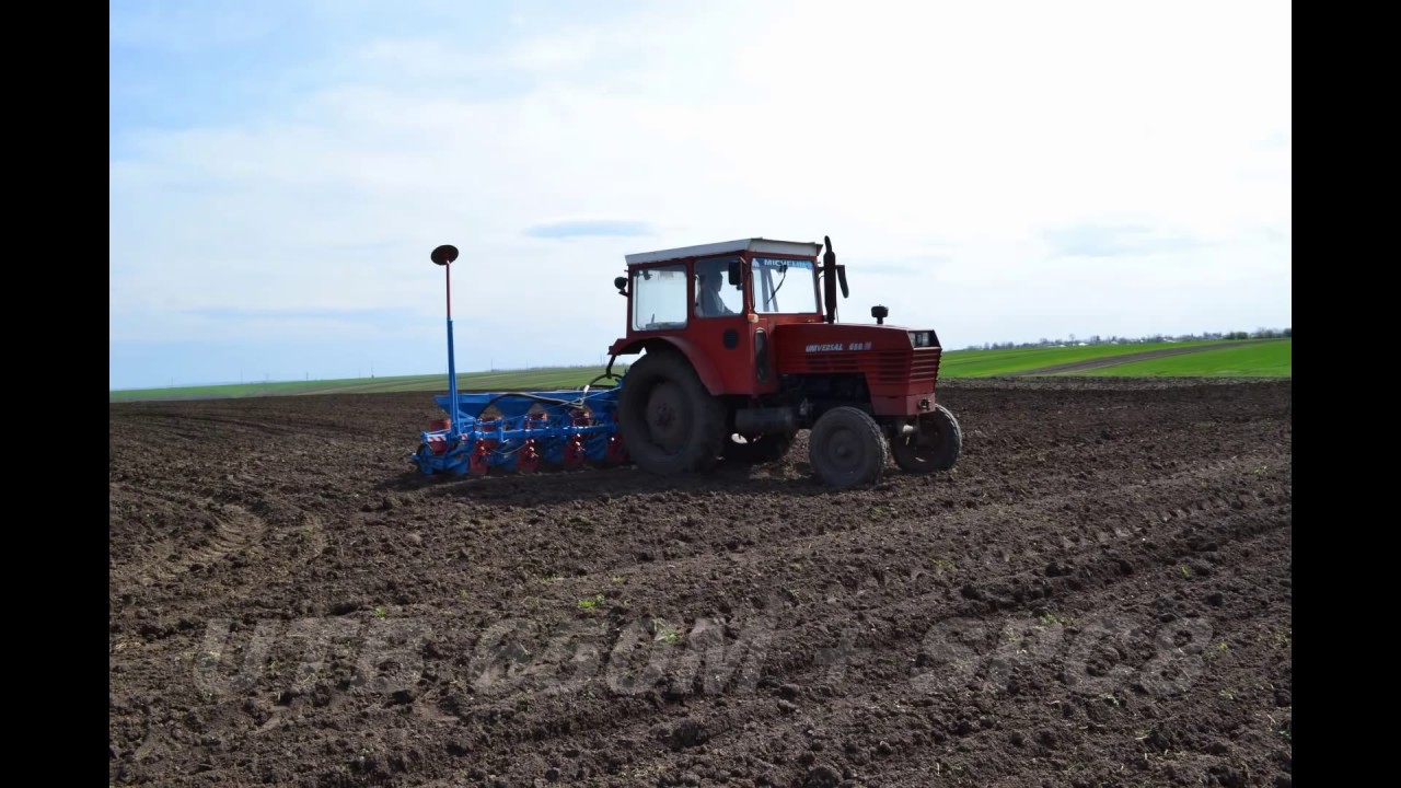 Semanat Floarea Soarelui - JD 5100R , UTB 650M , SPC 8