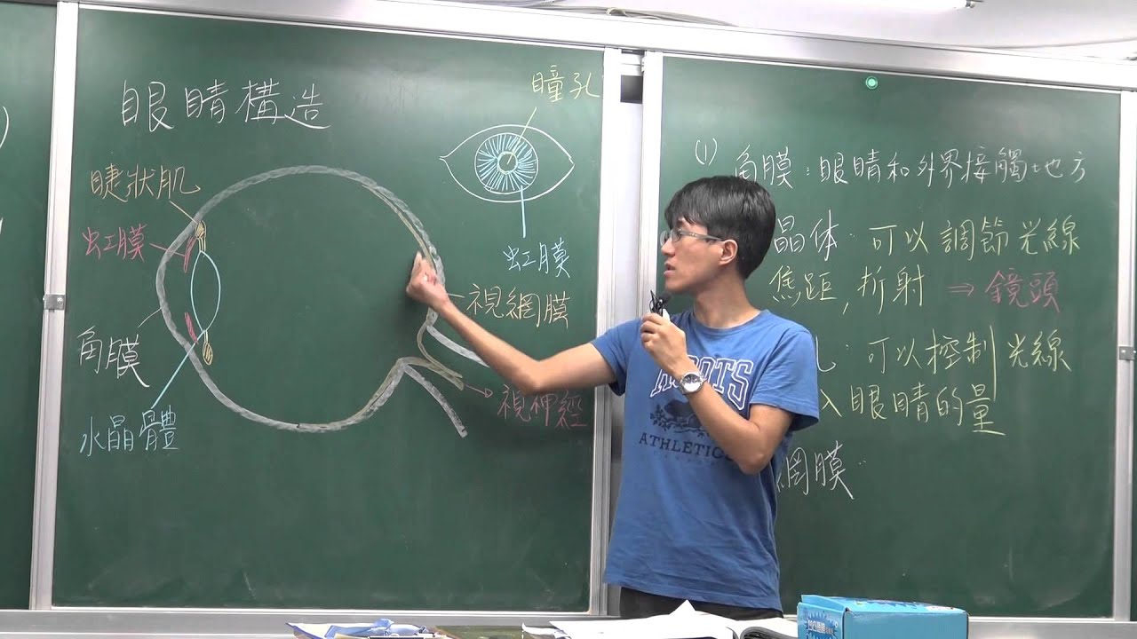 國一上生物4-4光學儀器(3)-眼睛構造/近視/遠視/老花