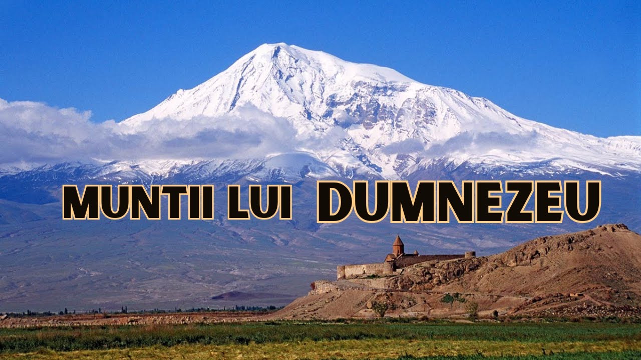 #7 Muntele Carmel I Pastor Cristi Lungu I 21 Iamuarie 2025
