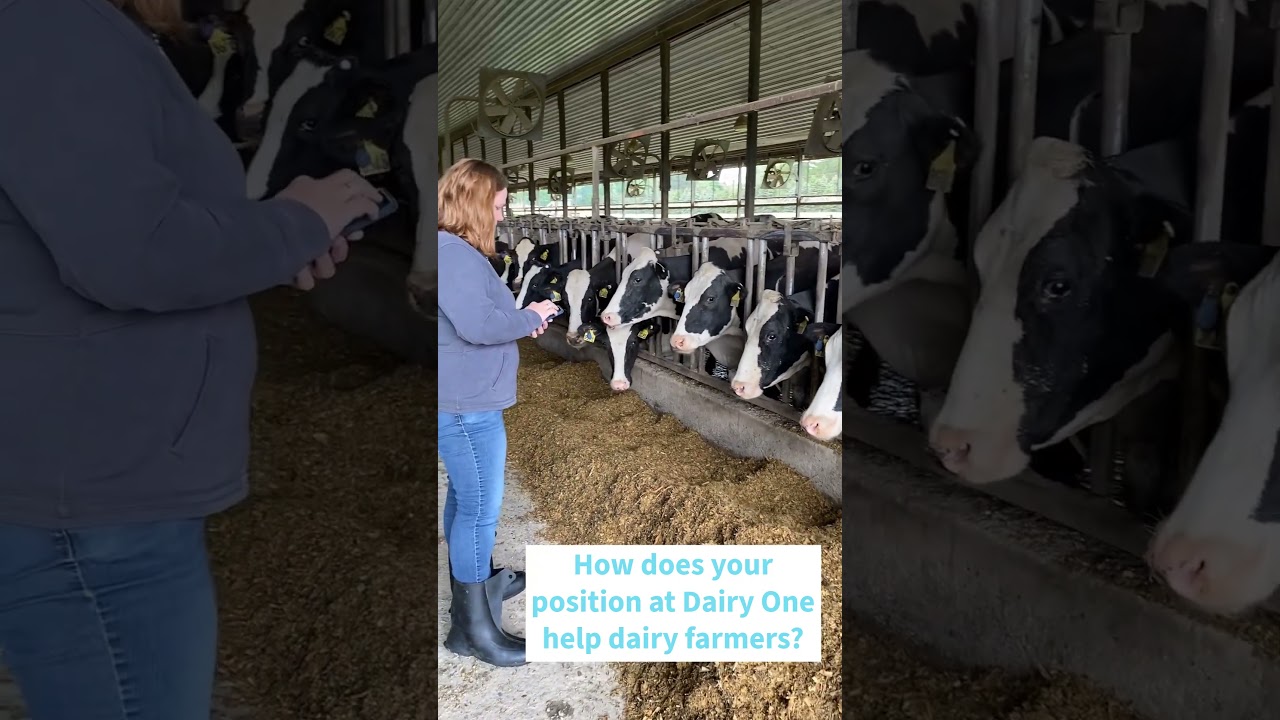 Dairy One Integrated Farming Solutions - 2025 Dairy Month