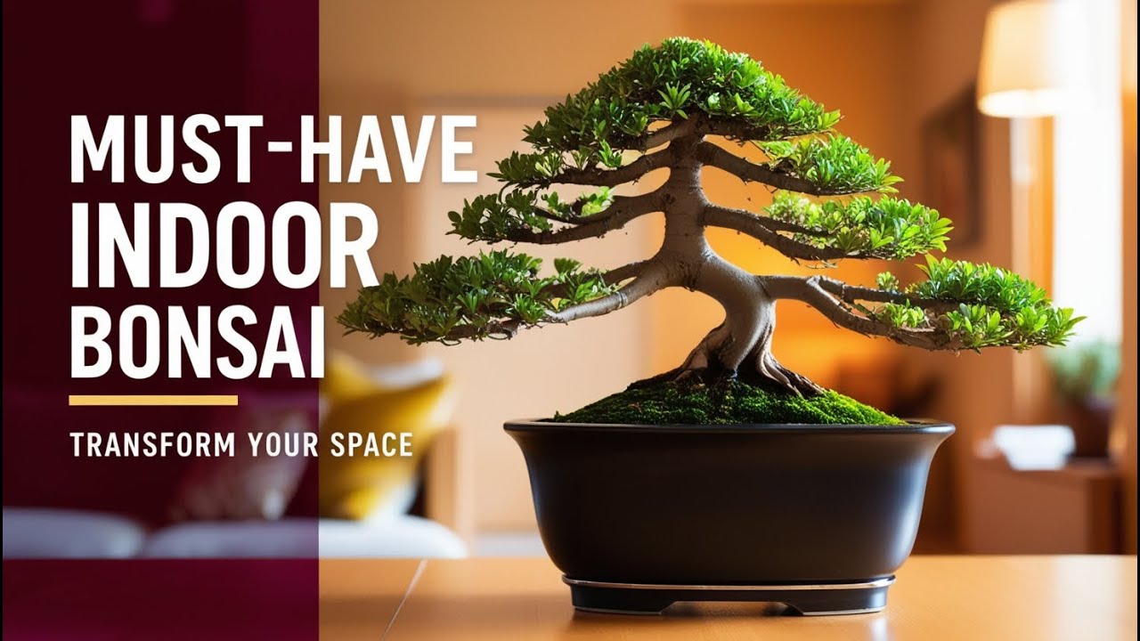Best Indoor Bonsai Trees: Top 10 Picks for Your Home!