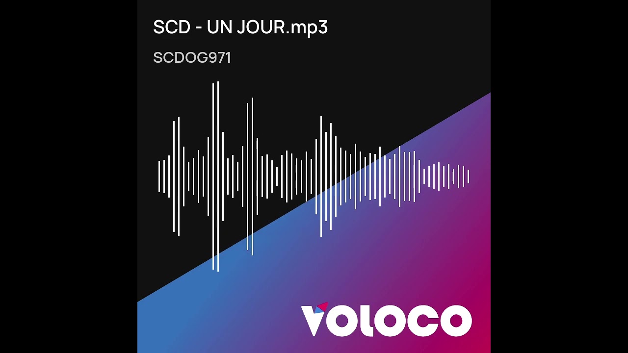 SCD - UN JOUR