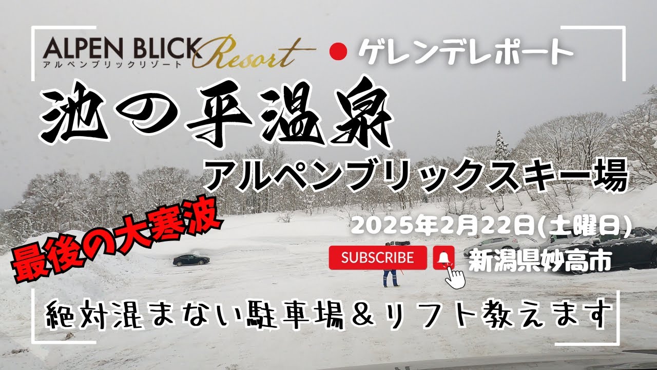 #池の平温泉アルペンブリックスキー場 最後の大寒波の中ツリーランした日 2025年2月22日(土)