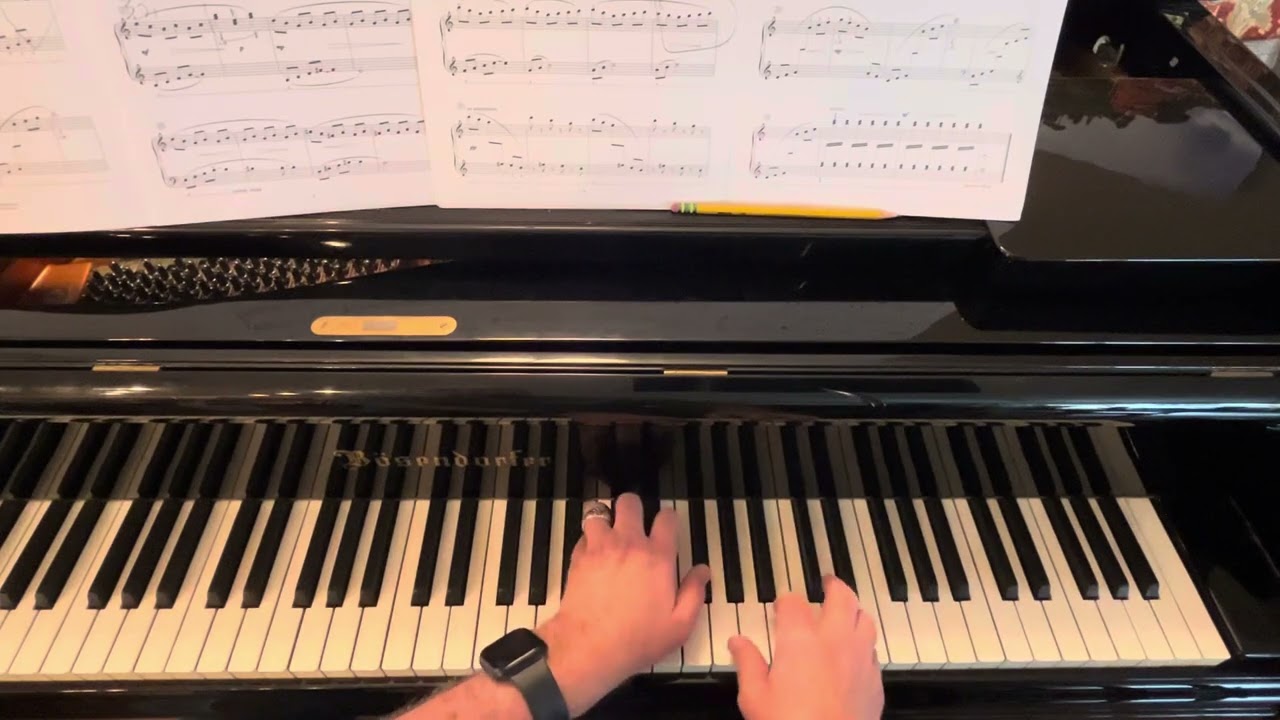 Jennifer Linn - Les papillons a la lumiere du soleil (Butterflies in the Sunlight) - RCM 5C