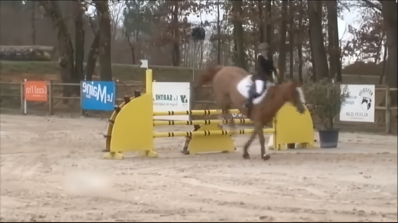 Elles ont le sport dans la peau