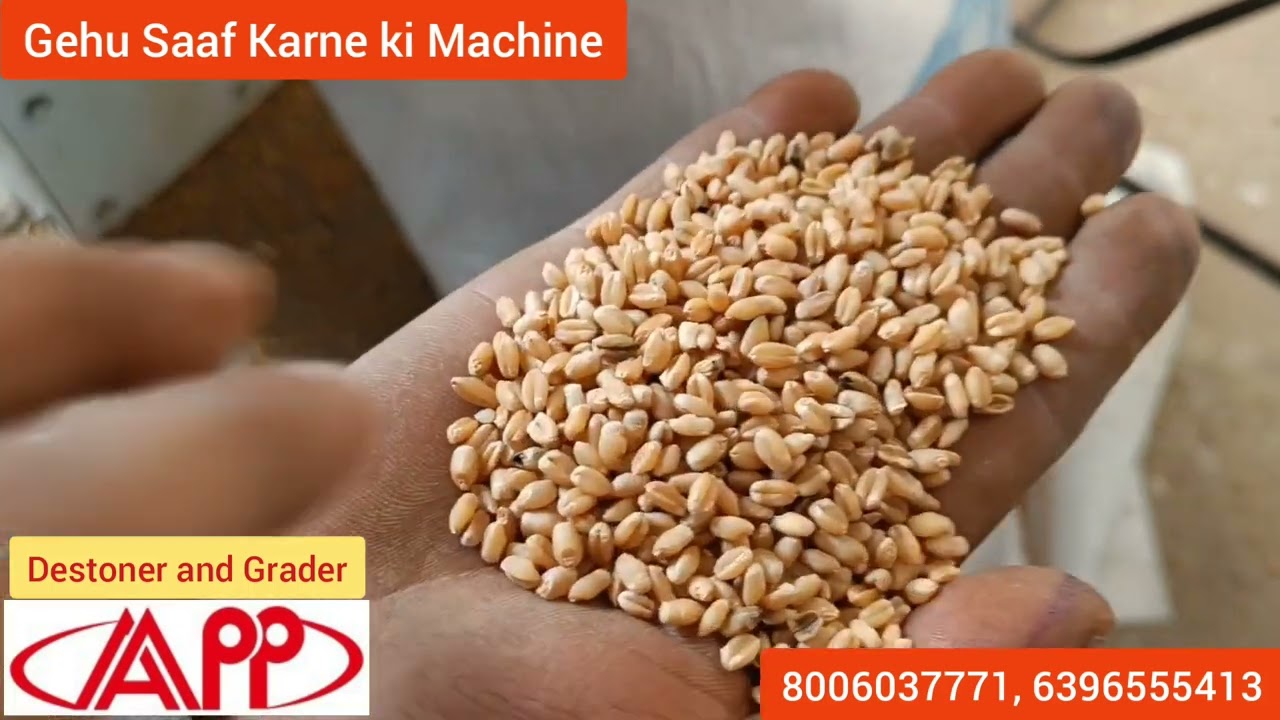 गेहूं साफ करने की मशीन Gehu Saaf Karne ki Machine. Destoner,Grader Dust Cleaner 300kg/hr 7300820345