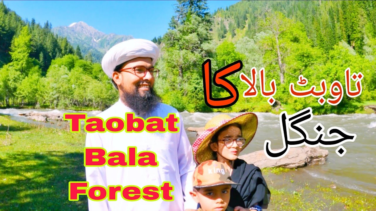 Taobat Bala Jungle | Taobat Bala Village To Jungle | Neelum Valley Azad Kashmir Pakistan
