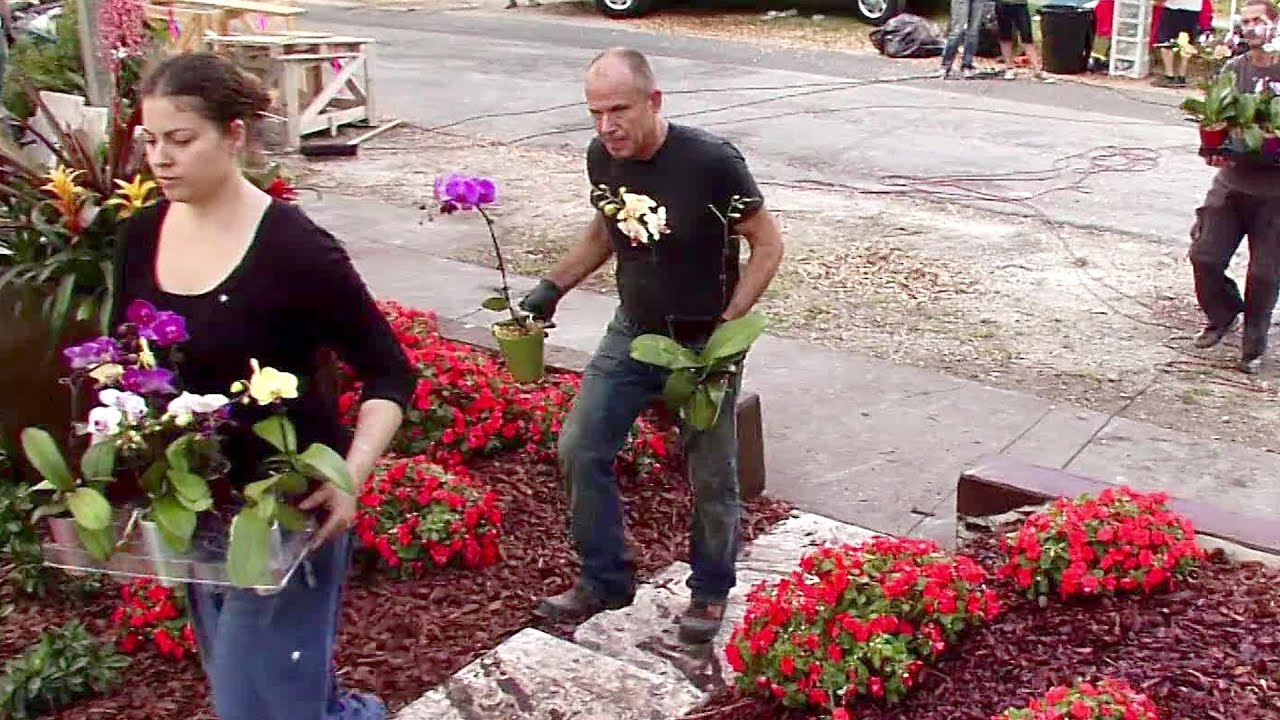Growing Exotic Outdoor Orchids