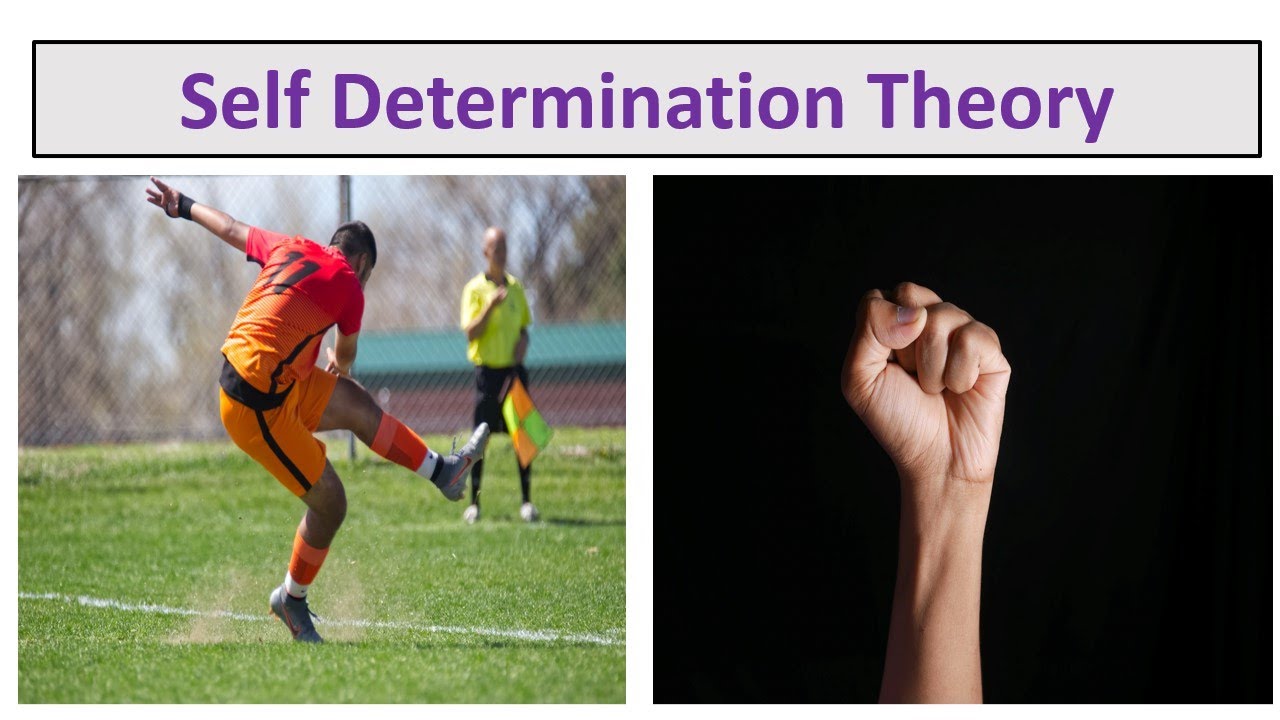 Self Determination Theory of Motivation Explained-Deci & Ryan’s Self-Determination Theory