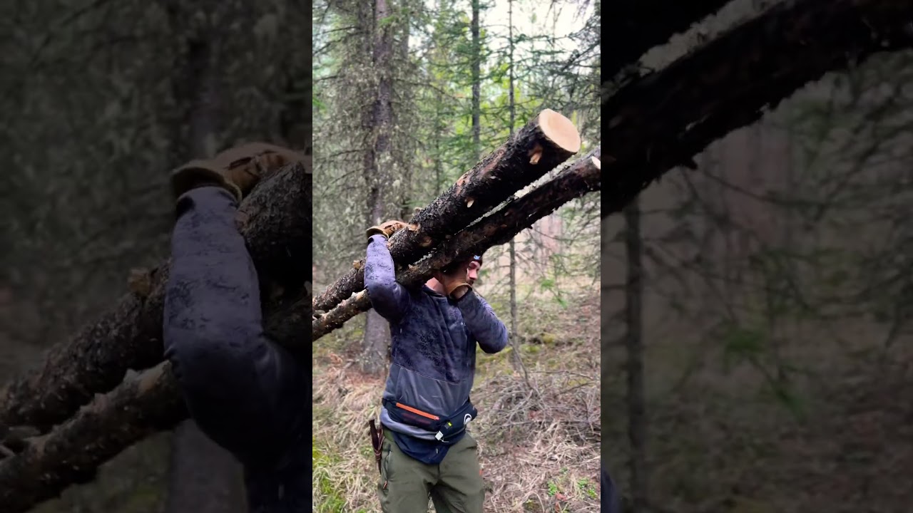Hauling firewood for camp #firewood #campingadventure
