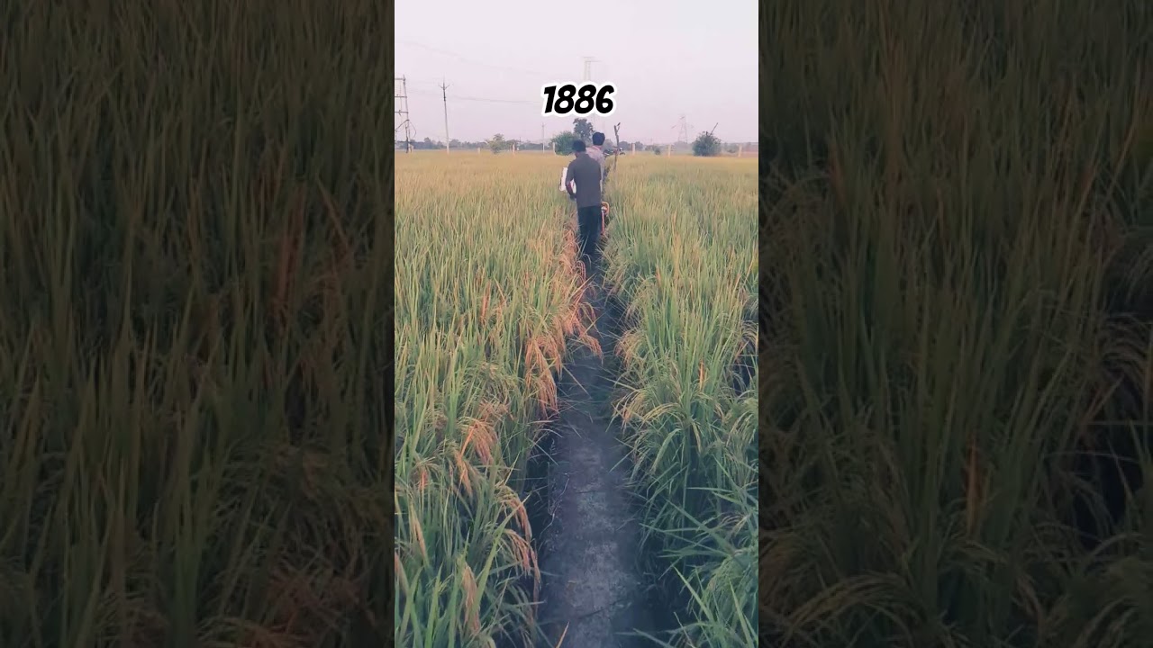 Pusa 1886 #automobile #ekmotahathighumechala #motorbike #farming