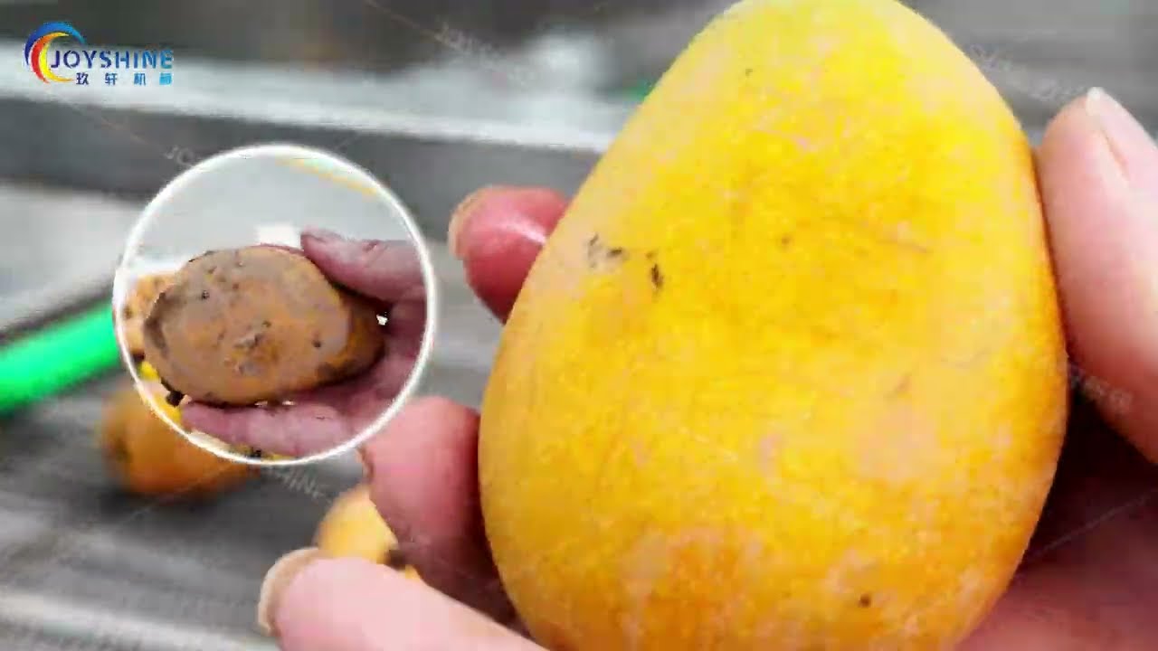 Mango Washer Machine Fruits Cleaning Air Drying Processing Mango Air Bubble Washing