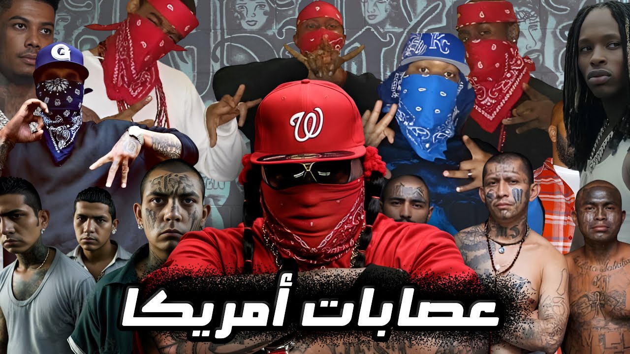تاريخ العصابات الامريكية || كيف نشأت عصابات أمريكا ومن هم الملوك الحقيقيين؟