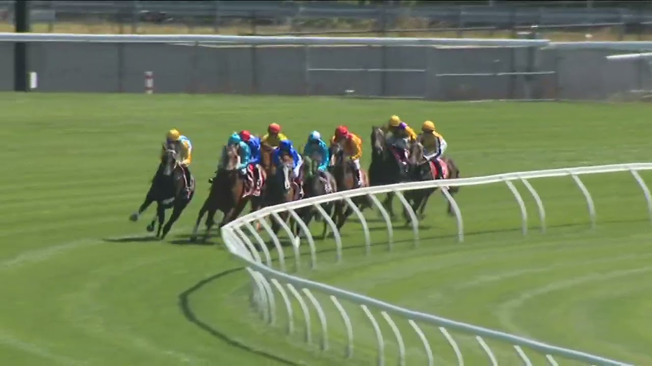 Elwick Stakes 2026 - ARISTOPOLOS (2-летний победитель скачек категории SW LR), скачки категории L...