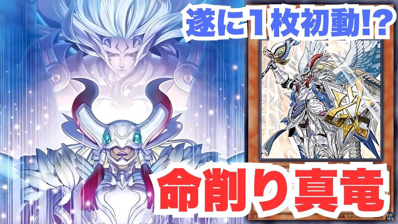 【#遊戯王OCG】遂に1枚初動！？竜呼双搏で強化された命削り真竜【#デッキ紹介 】