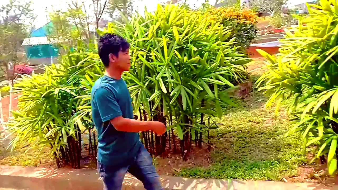 Samgong  horticulture..
