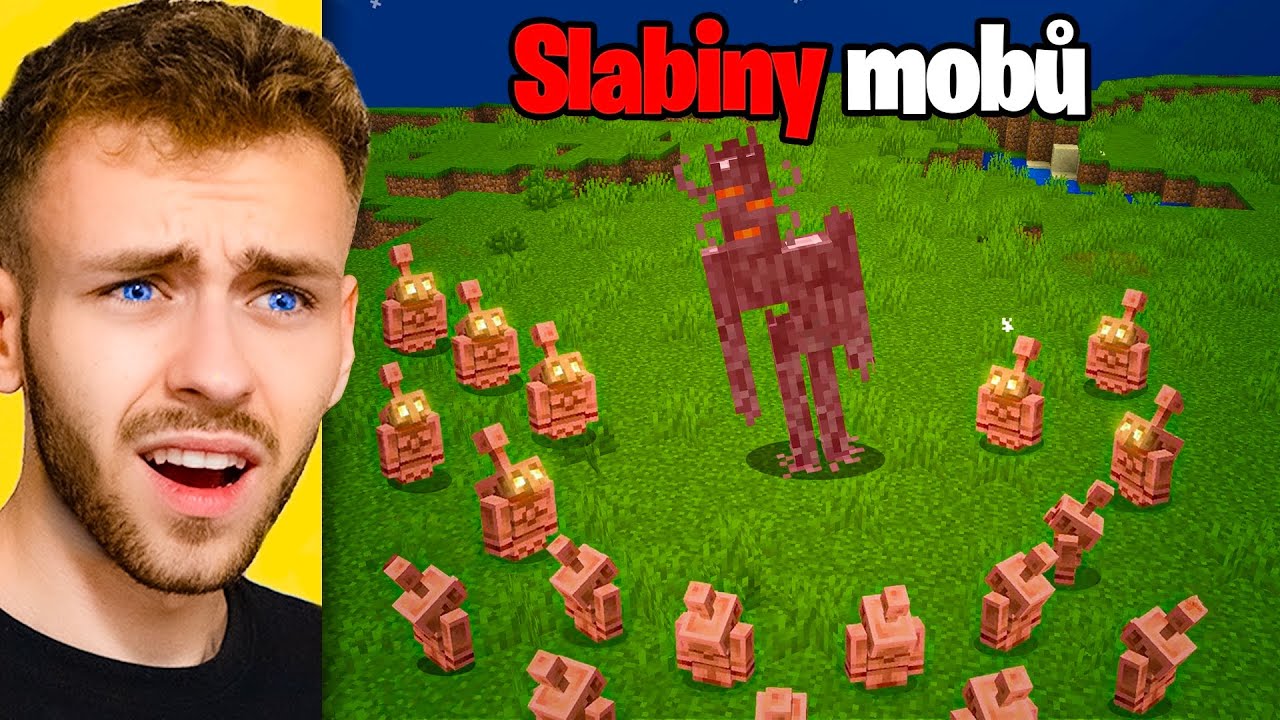 Slabiny Minecraft Mobů které FUNGUJÍ