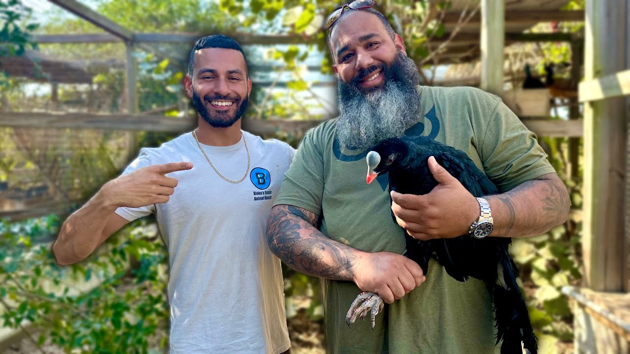 I BOUGHT My Best Friend NEW RARE Birds!