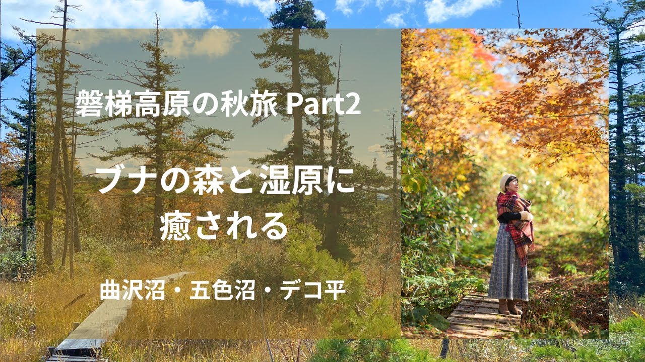 磐梯高原の秋旅part2　ブナの森と湿原に癒される～曲沢沼・五色沼・デコ平