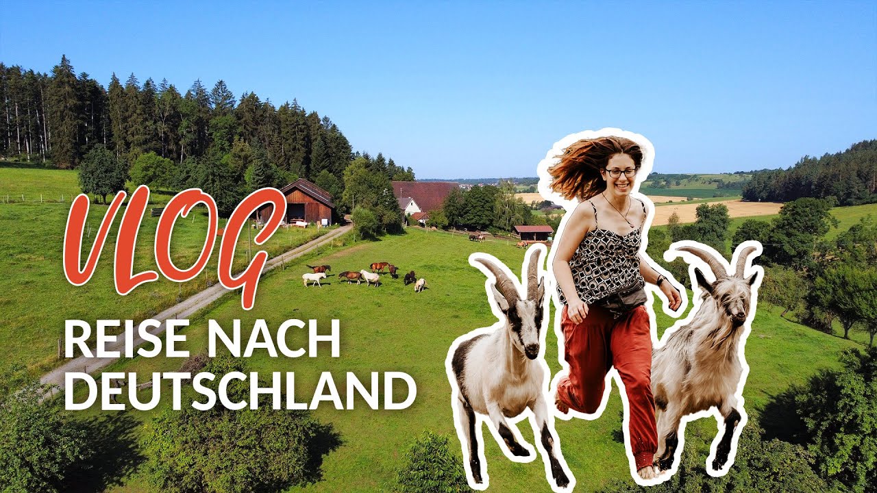 ZIEGENKURS und die Geschichte einer Wildziege