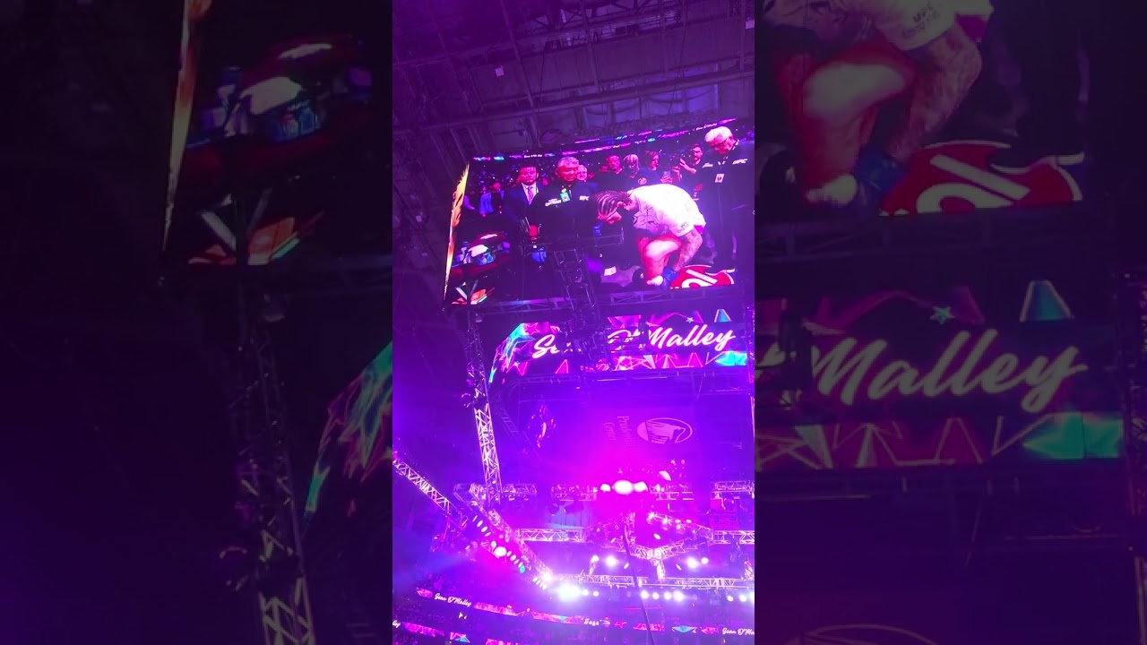 UFC 316: Merab Dvalishvili and Sean O'Malley Entrance