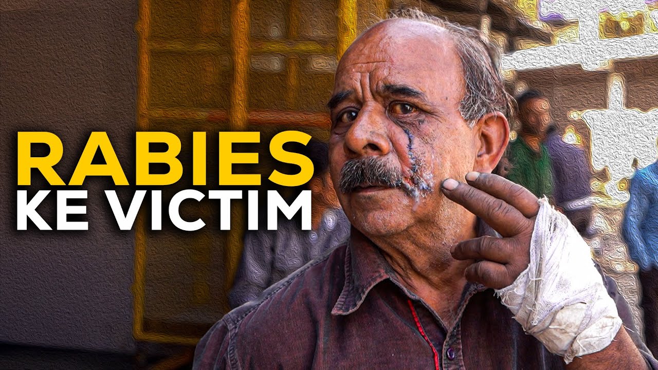 Stray Dog attack terror in Chamba | Rabies control in Himachal