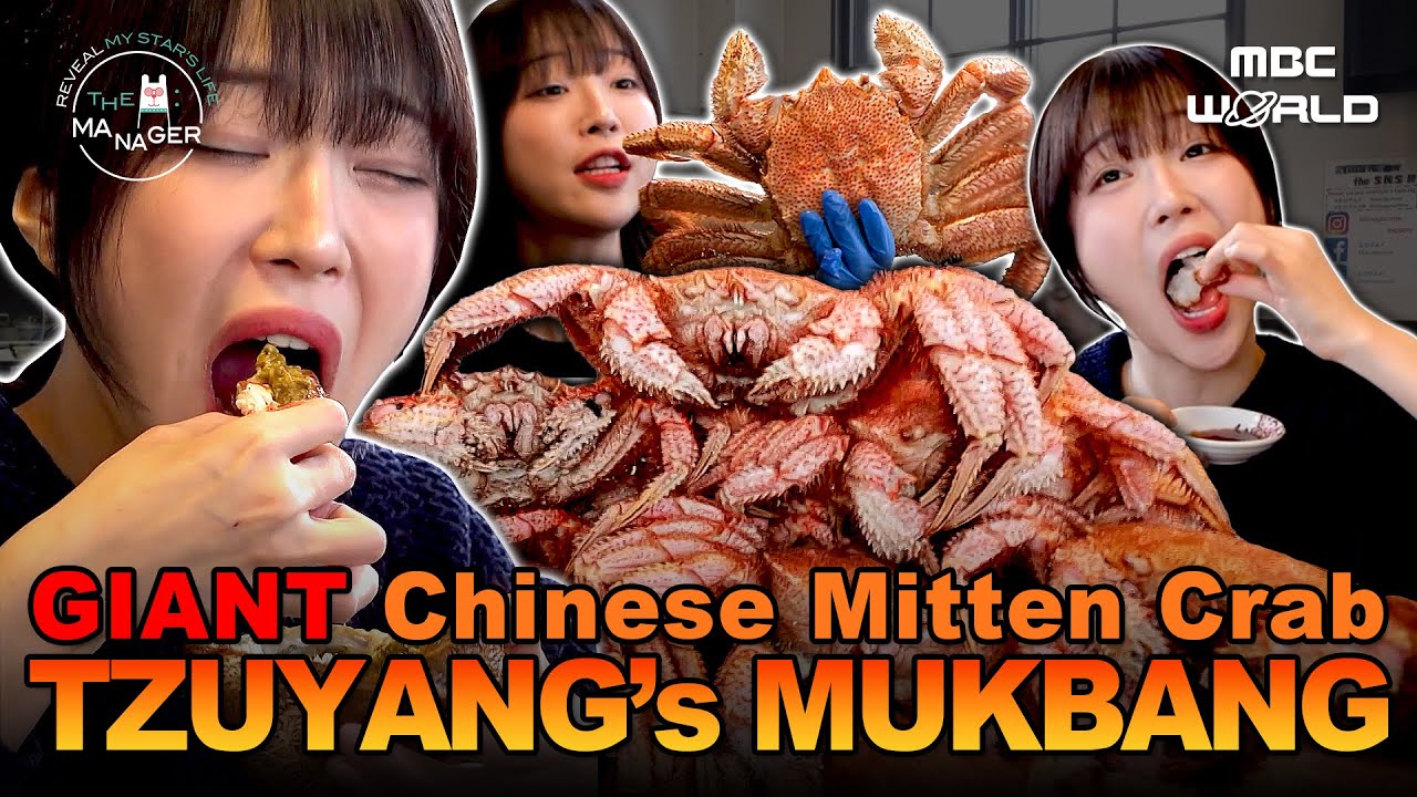 [Sub] Tzuyang Eats 11 Giant Crabs 🦀 | Sapporo Mukbang#Tzuyang #Mukbang #TheManager