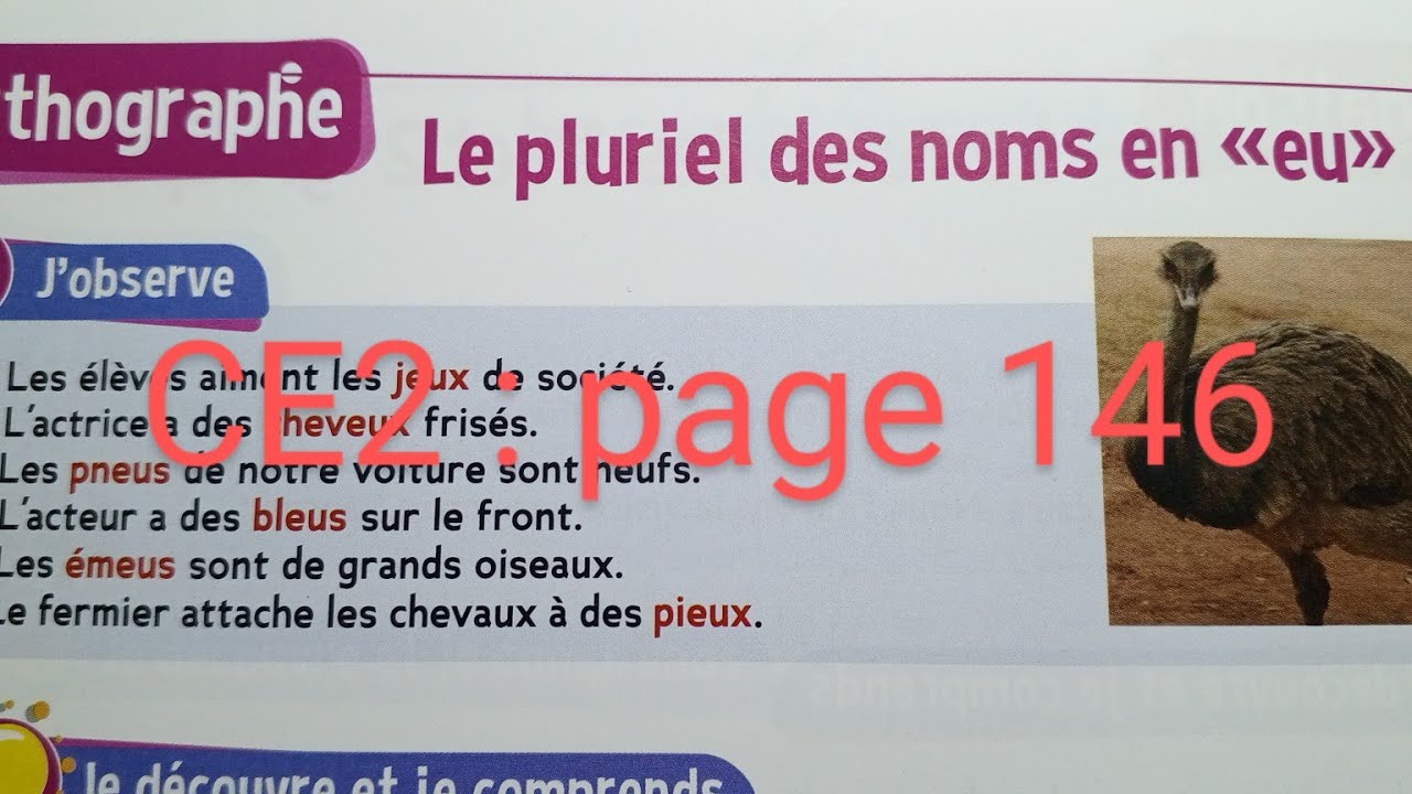 CE2 : Orthographe : Le pluriel des noms en  * eu * page 146 le trésor des mots