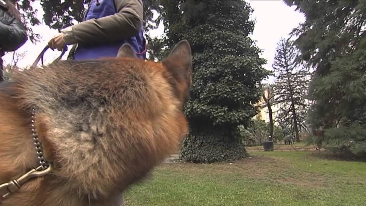 REX a Bolzano
