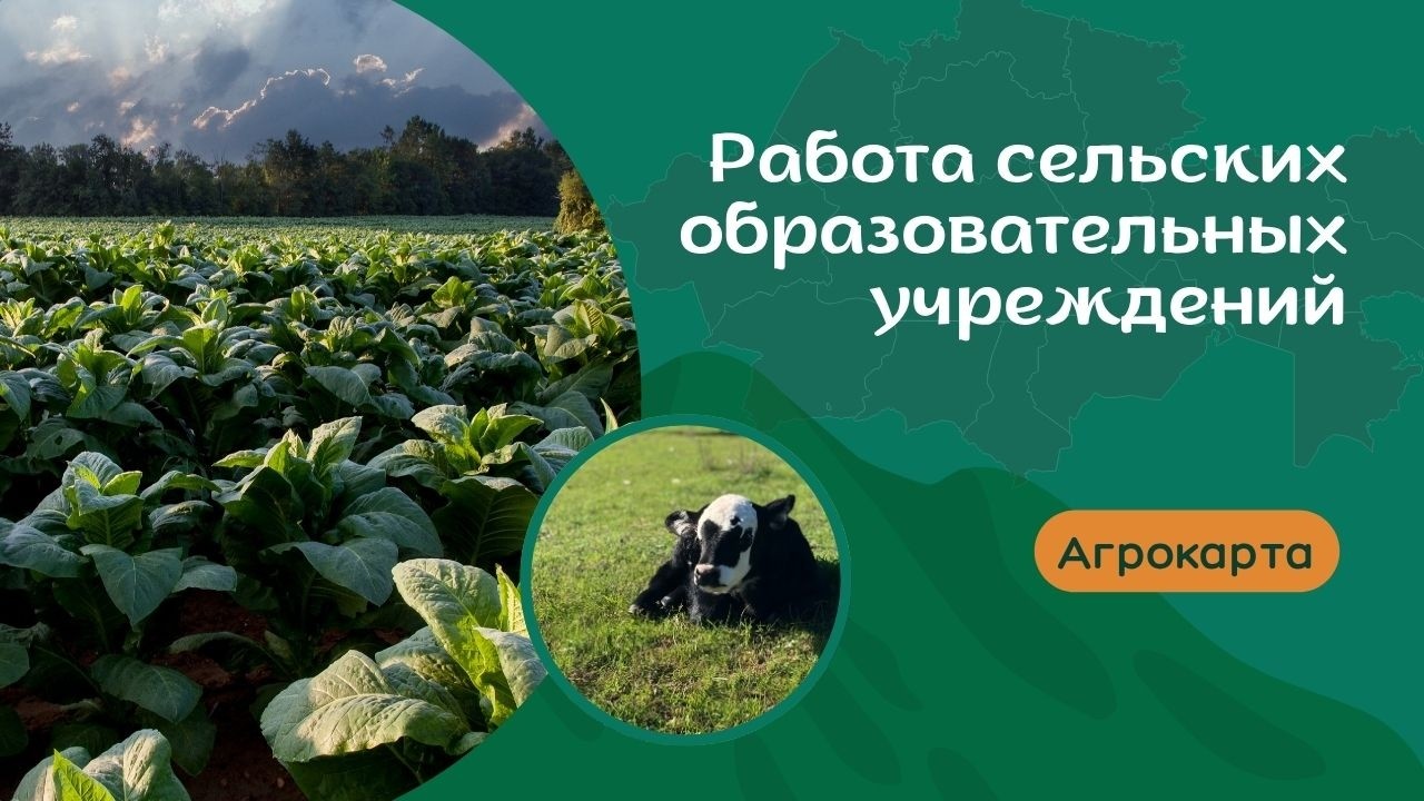 Образование на селе: состояние и перспективы | AGROKARTA