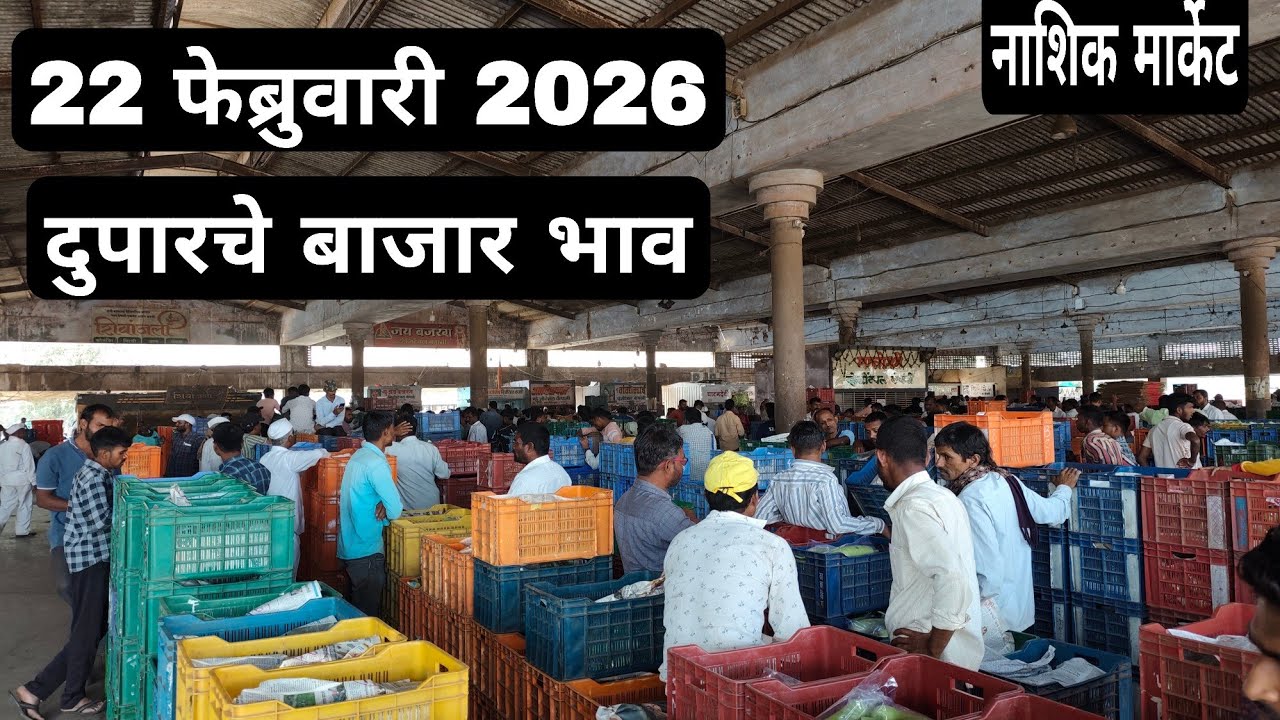 22 फेब्रुवारी 2026 | दुपारचे बाजार भाव नाशिक मार्केट | Vegetable market nashik rate today