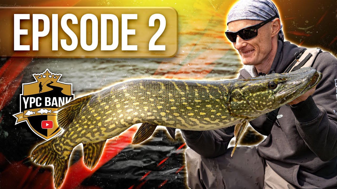 Angler auf REKORDKURS- Vorentscheidung an Tag 1!? | YPC Bank 2025 Episode 2