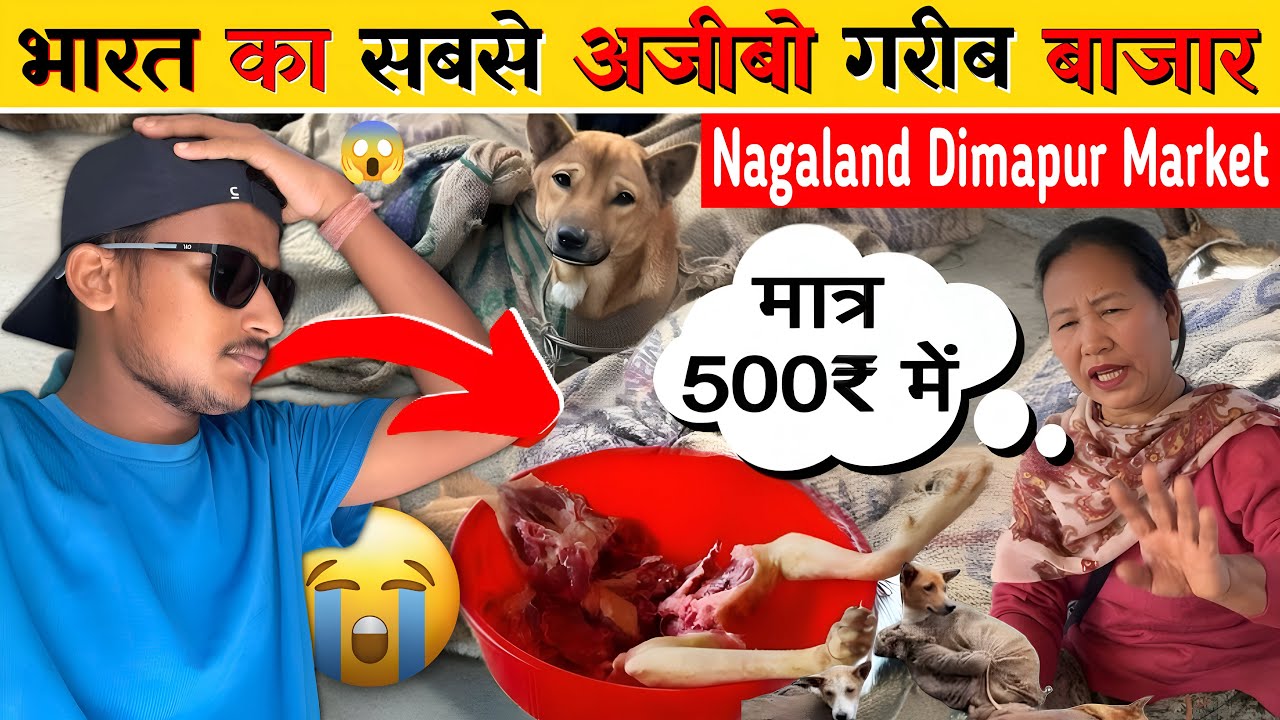 Dimapur Super Market | यहां का खाना आपके होश उड़ा देगा |  dimapur nagaland 2025