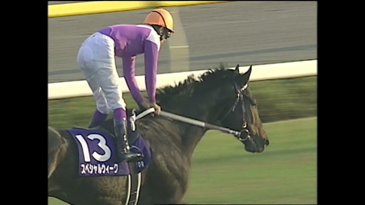 1999 Japan Cup (G1) | JRA Official