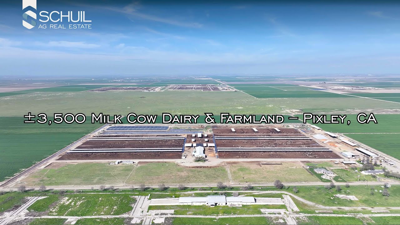 ±3,500 Milk Cow Dairy & Farmland – Pixley, CA - Tulare County