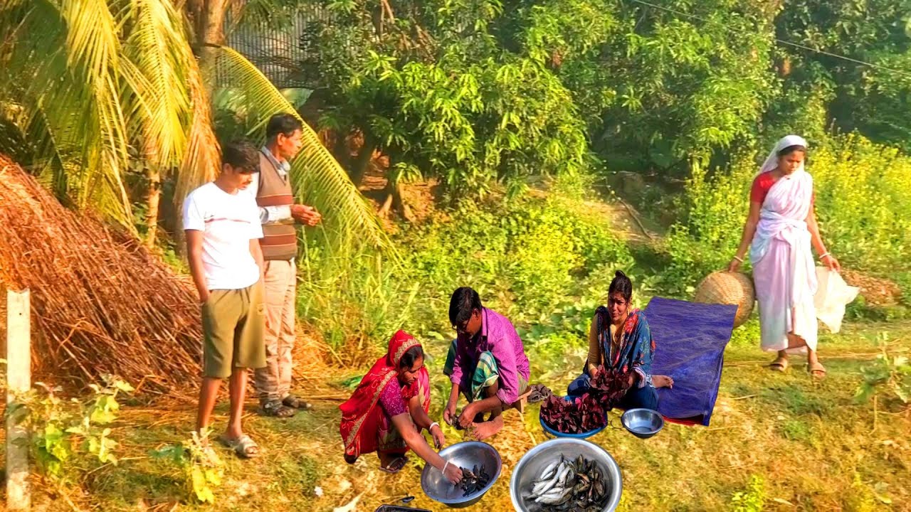 সবাই মিলে কি সিদ্ধান্ত  নিলাম//সবার জীবন এরকম না