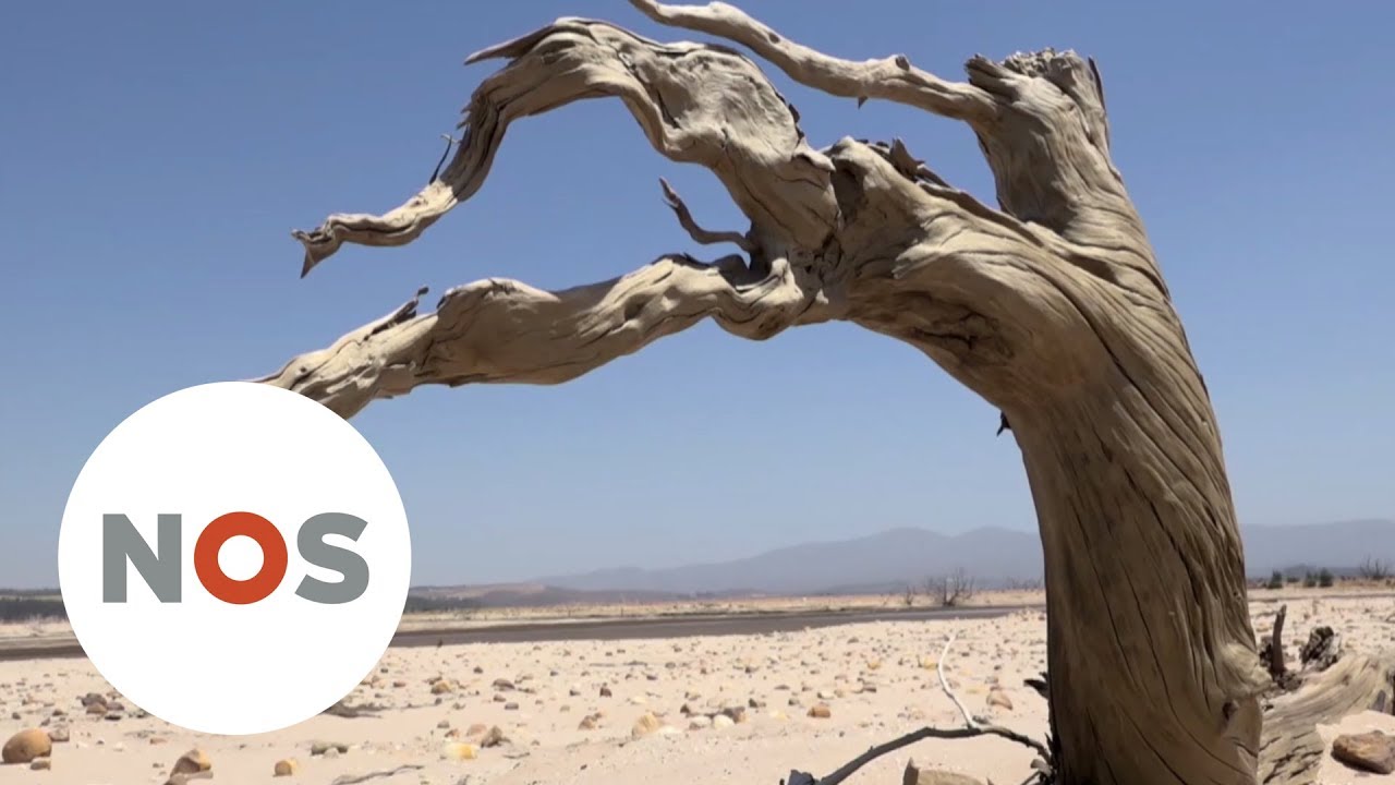 ZUID-AFRIKA: 'Ergste droogte in 100 jaar'