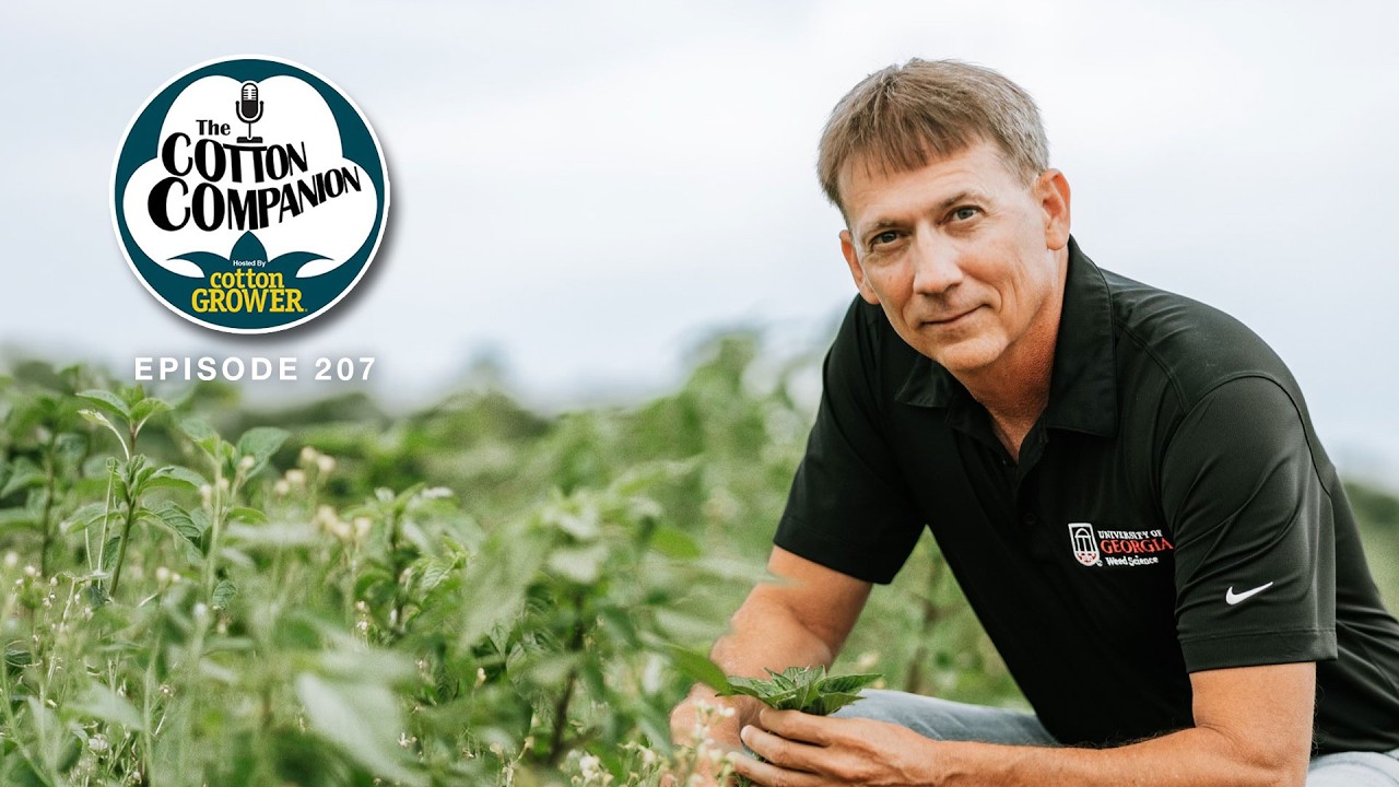A Closer Look at the New Dicamba Label