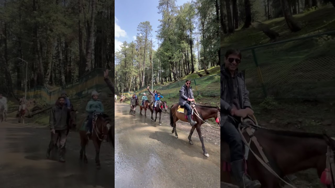 Starting Horse Ride to Baisaran Valley Pahalgam ( Mini Switzerland ) #kashmir #pahalgam #horse