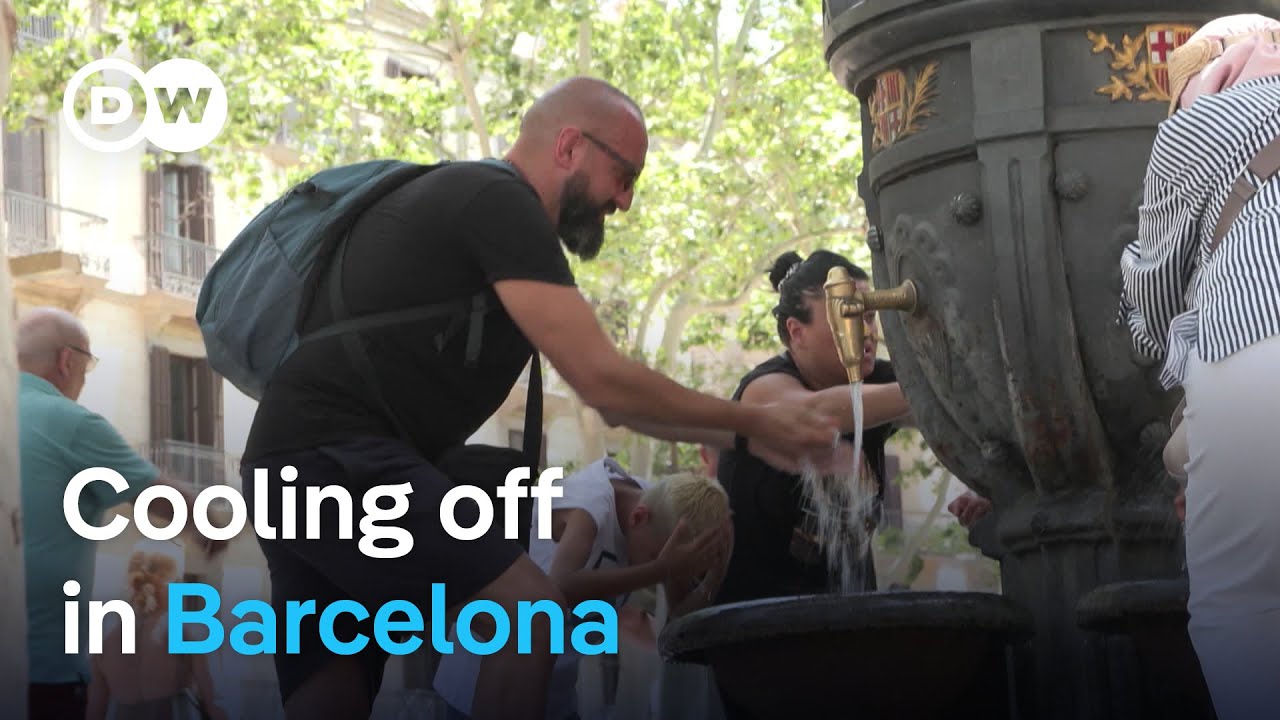 How Barcelona protects its citizens from deadly heat waves | Focus on Europe