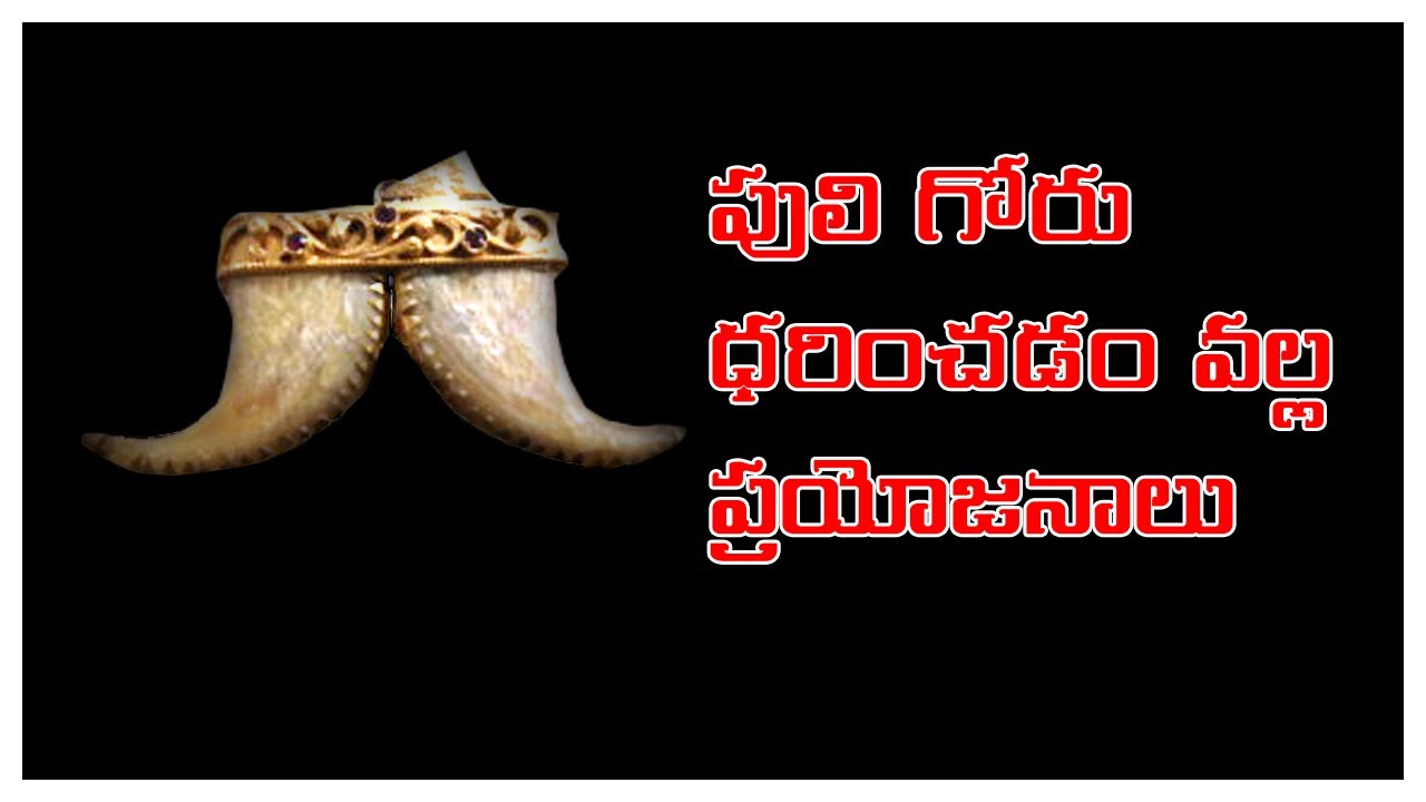 Benefits from wearing a tiger nail.. (పులి గోరు ధరించడం వల్ల ప్రయోజనాలు )